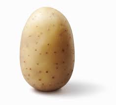 One humble potato